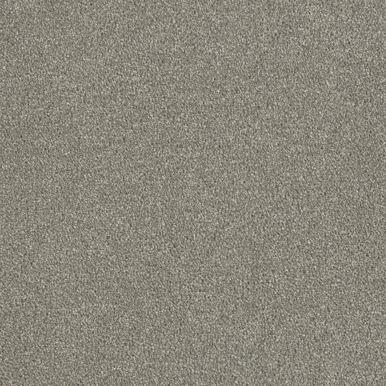 Luxor II Dove