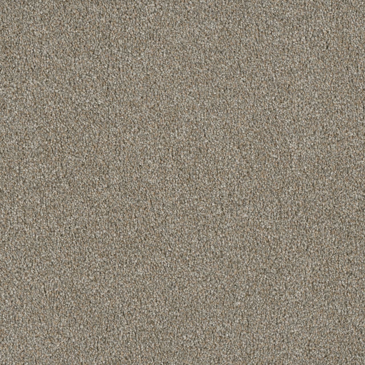 Luxor II Rhinestone