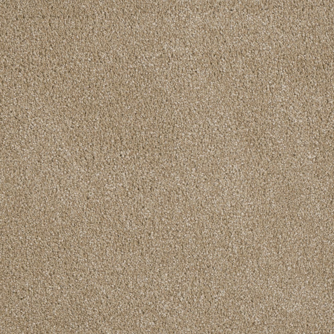 Luxor II Cashmere