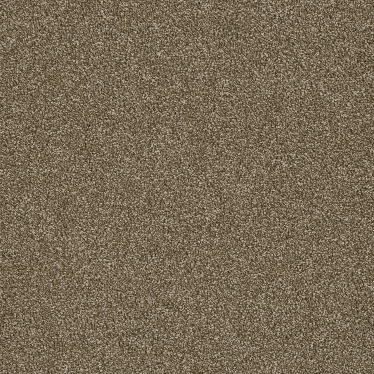 Luxor II Quail