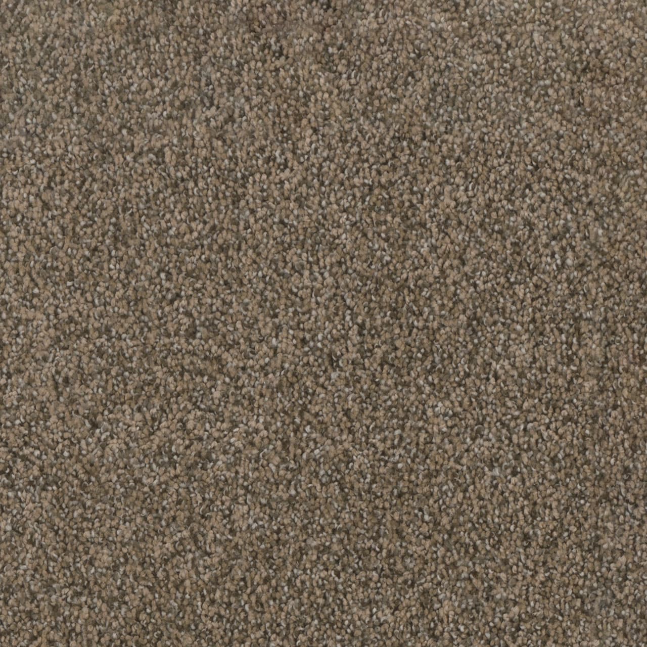 Trendsetter II Smokey Taupe