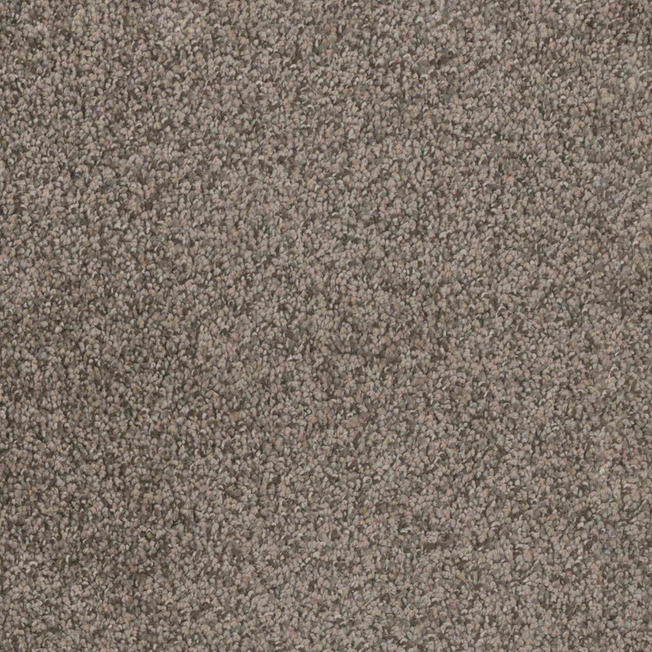 Trendsetter II Twig Trendsetter II flooring