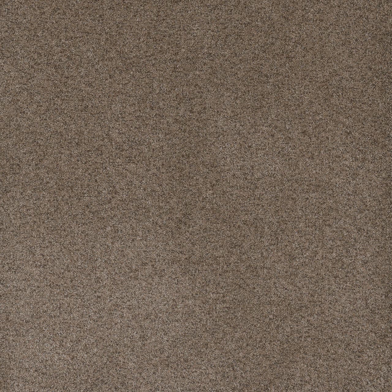 Serene III Shellbark Serene III flooring