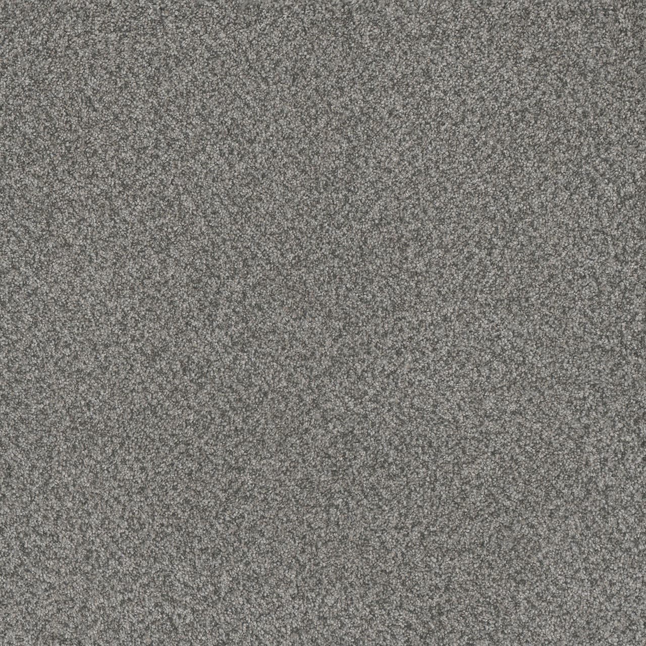 Titan II Orchid