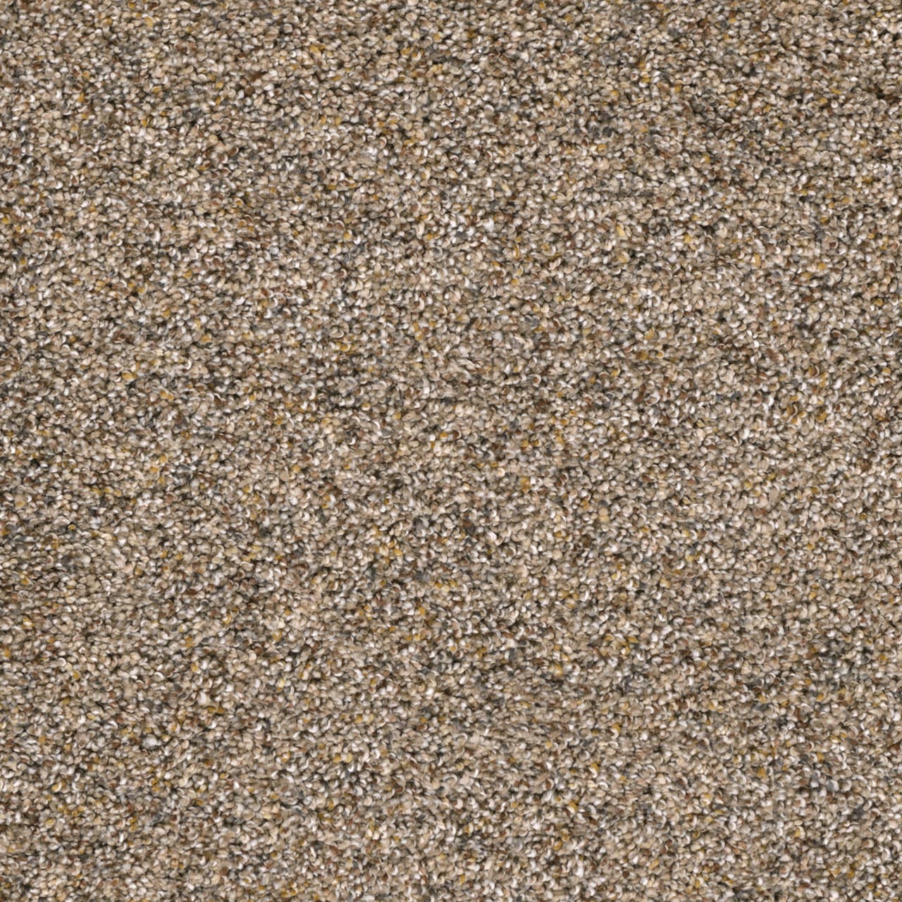 Confetti I Carpet flooring collection