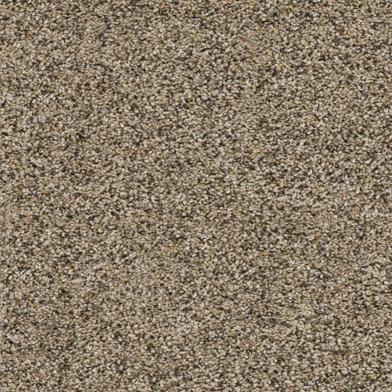 Confetti II Cadence Confetti II Carpet flooring