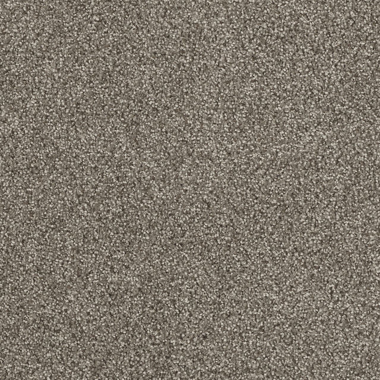 Monte Carlo II Baltic Birch