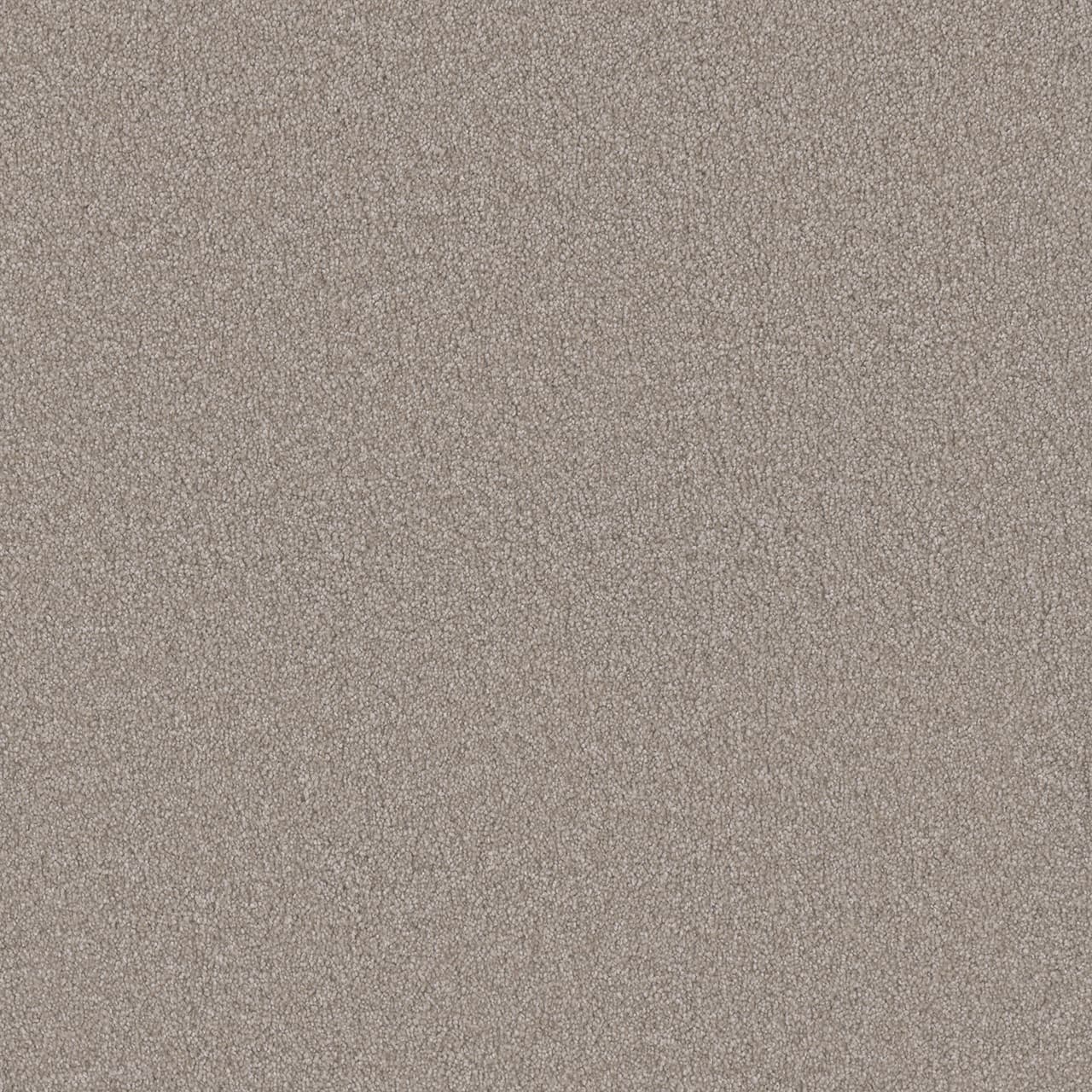 Monte Carlo II Parchment