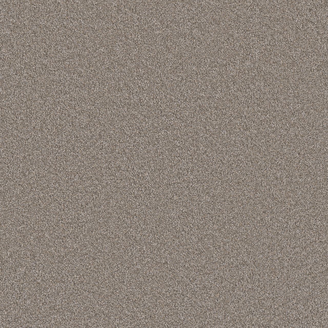 Monte Carlo II Iron Frost